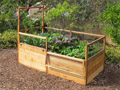3'x6' Fenced Raised Garden Bed With Trellis Kit