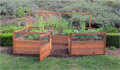 8'x12' Cedar Complete Fenced Vegetable Garden Kit